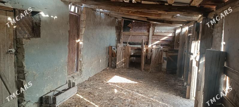 satlyk ýatak - Gyzylarbat - img 8