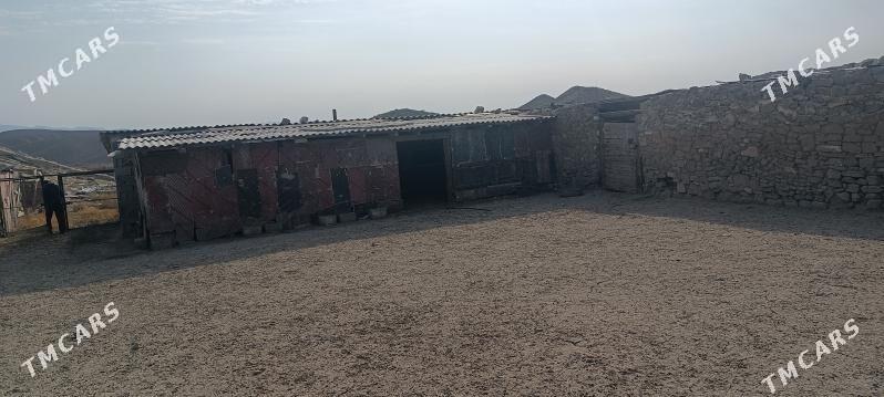 satlyk ýatak - Gyzylarbat - img 3