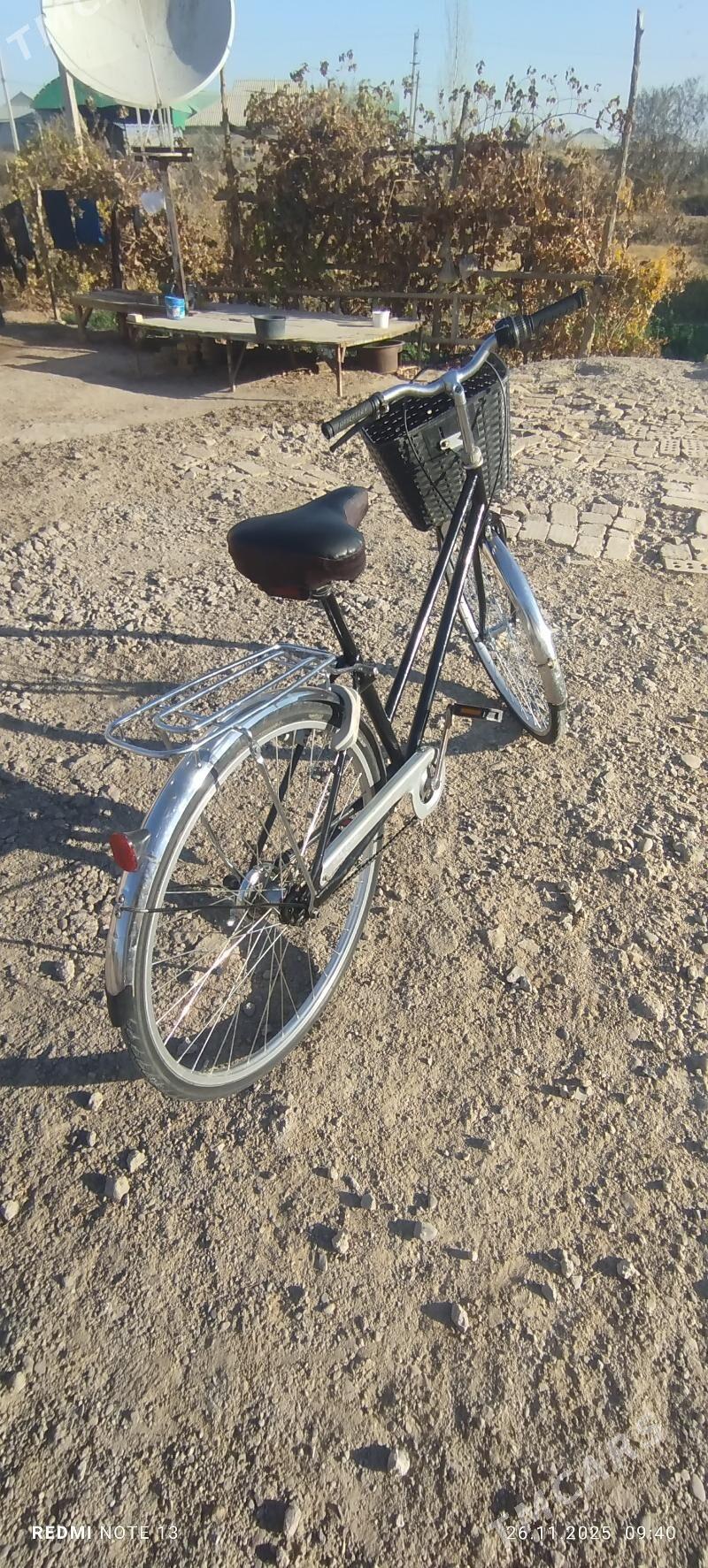 27 lik - Mary - img 3