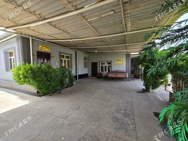 Bagyr Багир - Багир - img 5