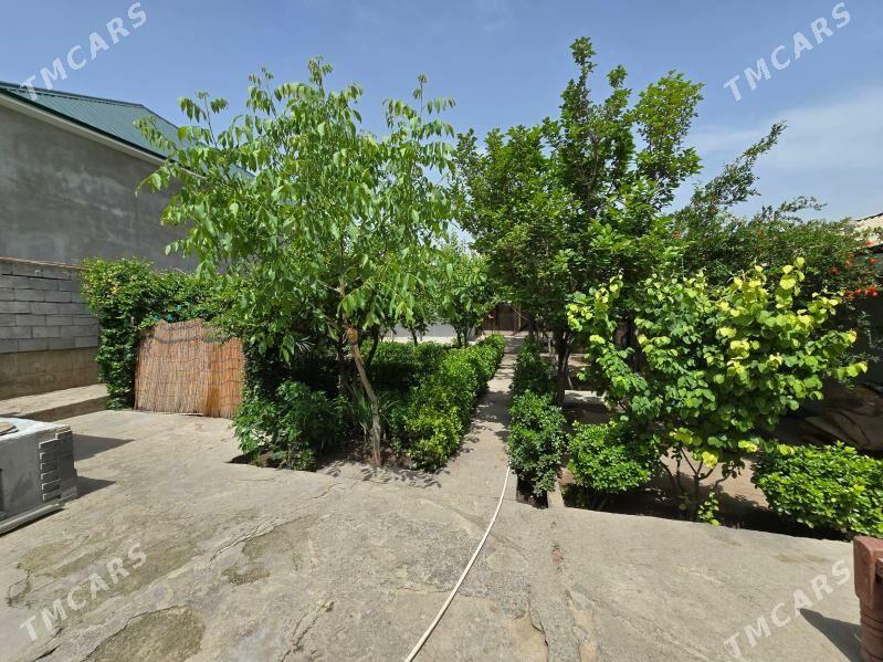 Bagyr Багир - Багир - img 1