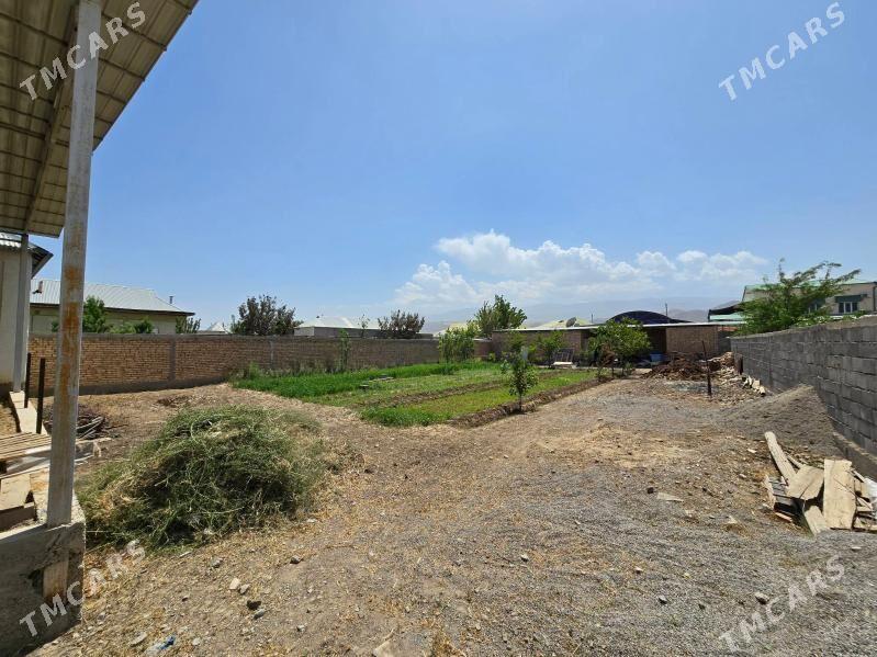 Bagyr Mirewe - Багир - img 4