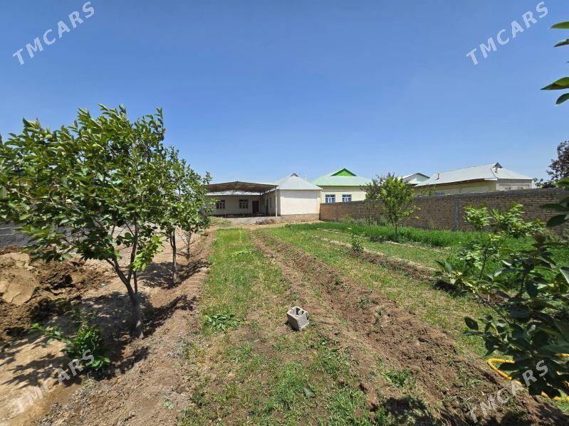 Bagyr Mirewe - Багир - img 3