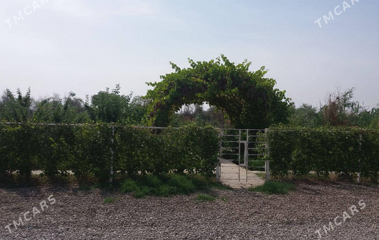 Продается Дача СРОЧНО. Daca - Мары - img 3