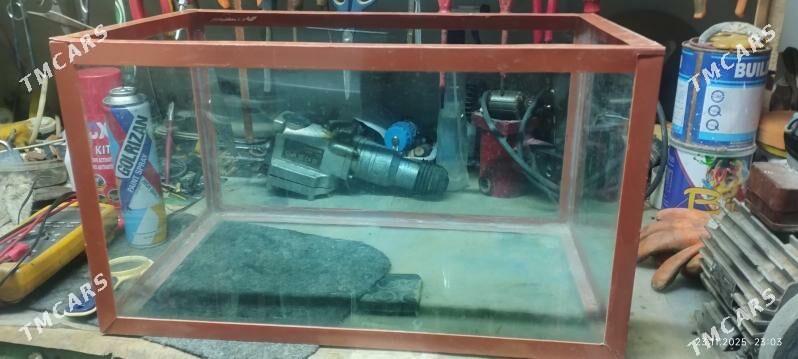 Аквариум - Балканабат - img 2