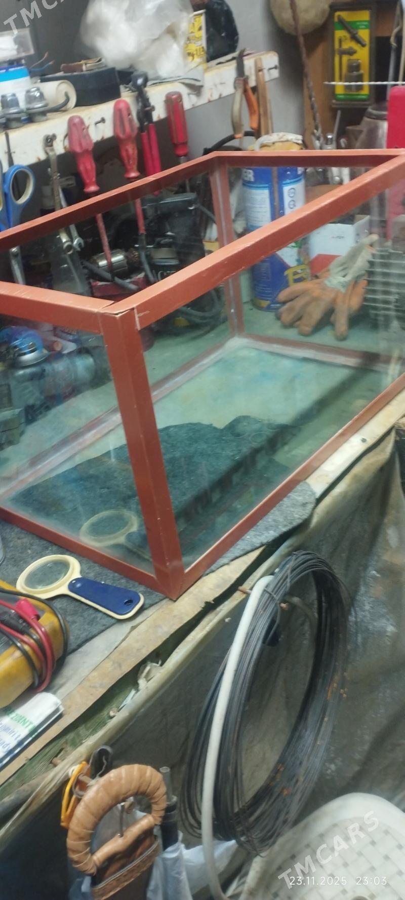 Аквариум - Балканабат - img 1