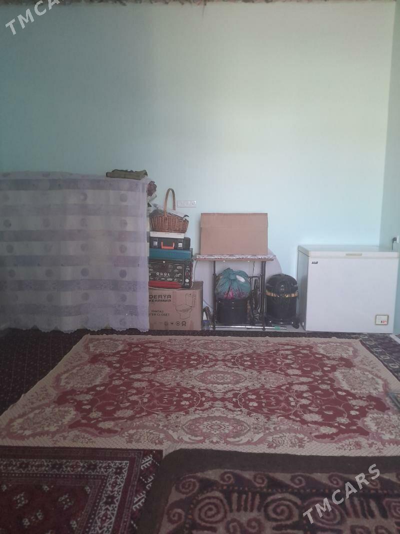 Arlanda arenda jay - Balkanabat - img 2