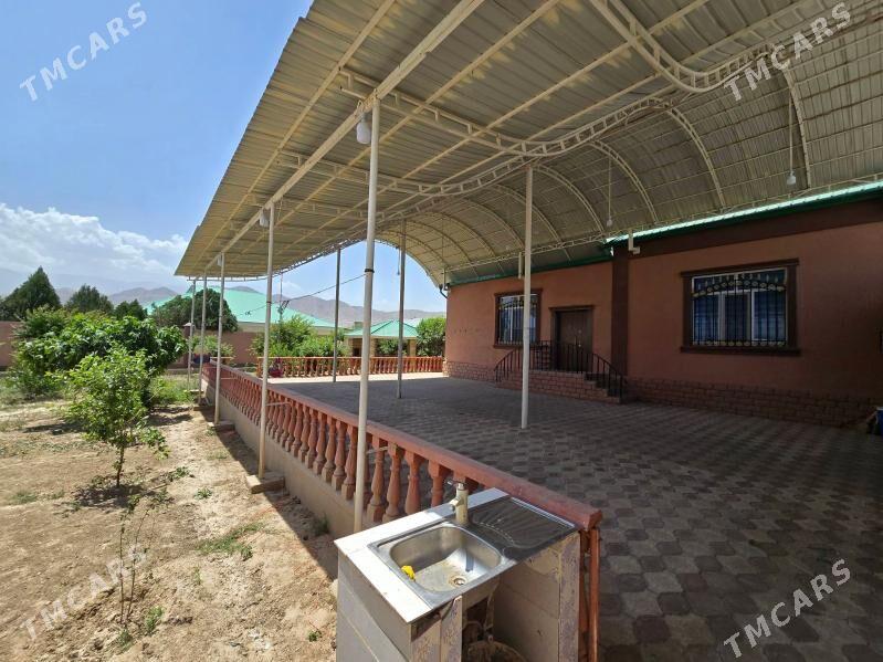 Bagyr Mirewe - Bagyr - img 2