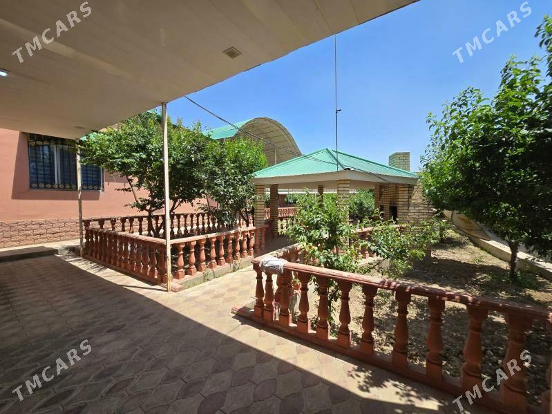 Bagyr Mirewe - Bagyr - img 3