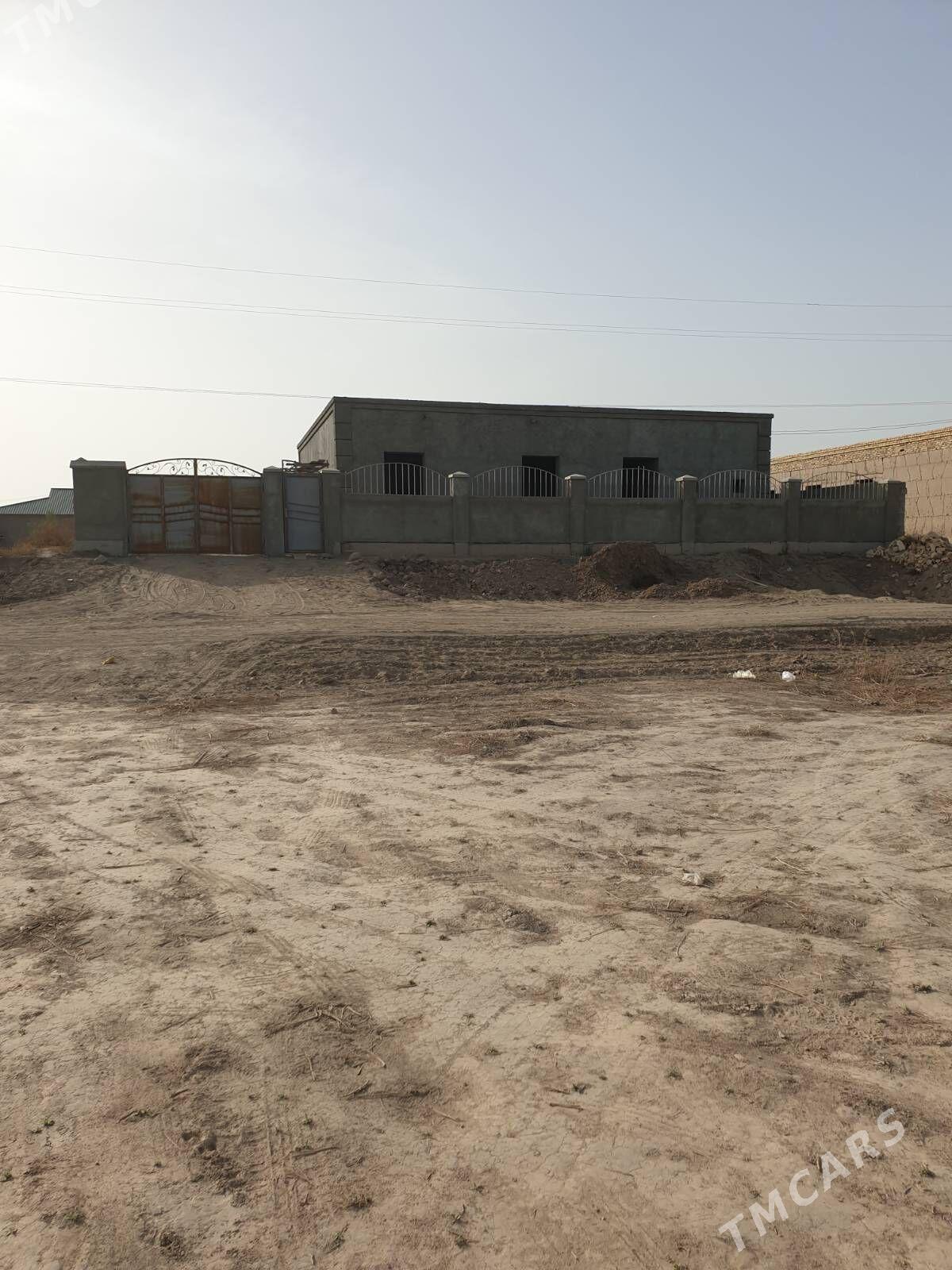 ARJANDA JAY - Дашогуз - img 1