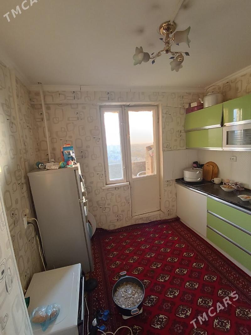 Satlyk jay - Mary - img 4