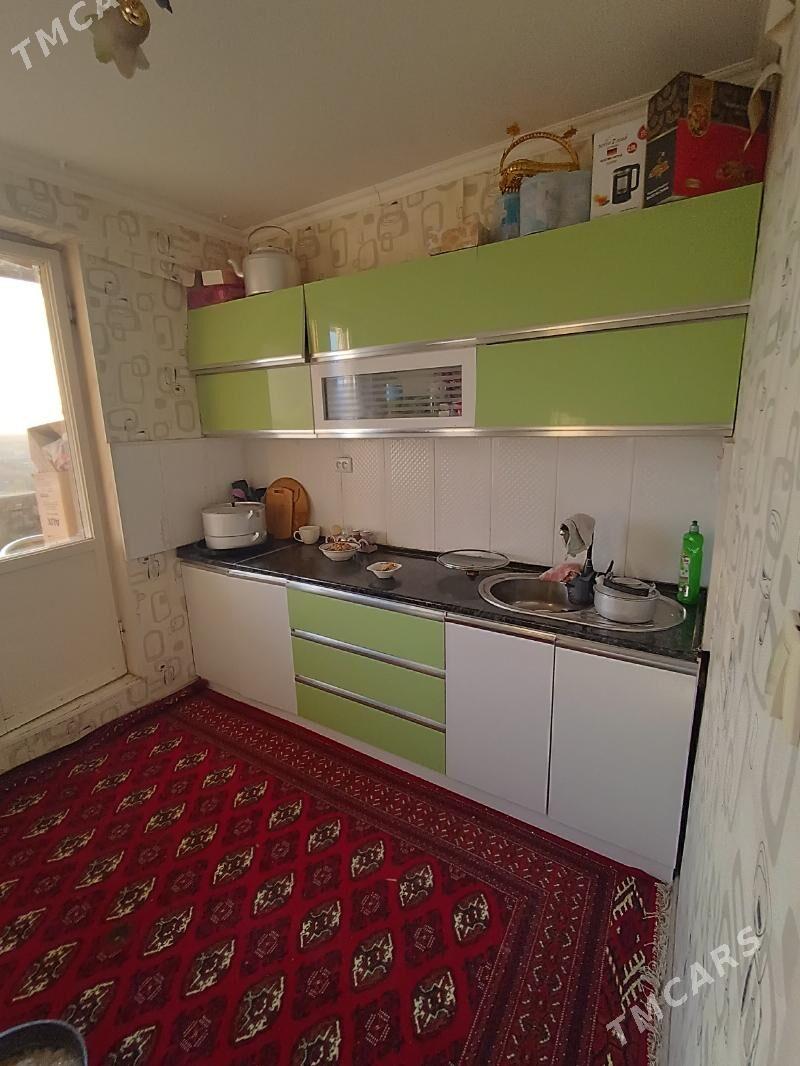 Satlyk jay - Mary - img 5