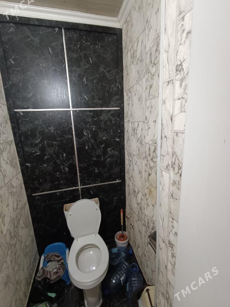 Satlyk jay - Mary - img 7