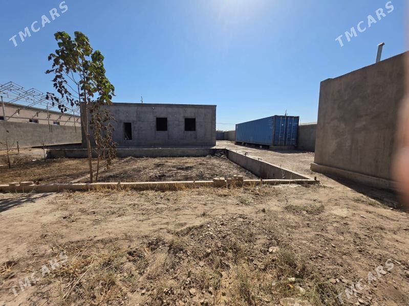 ARJANDA JAY - Дашогуз - img 5