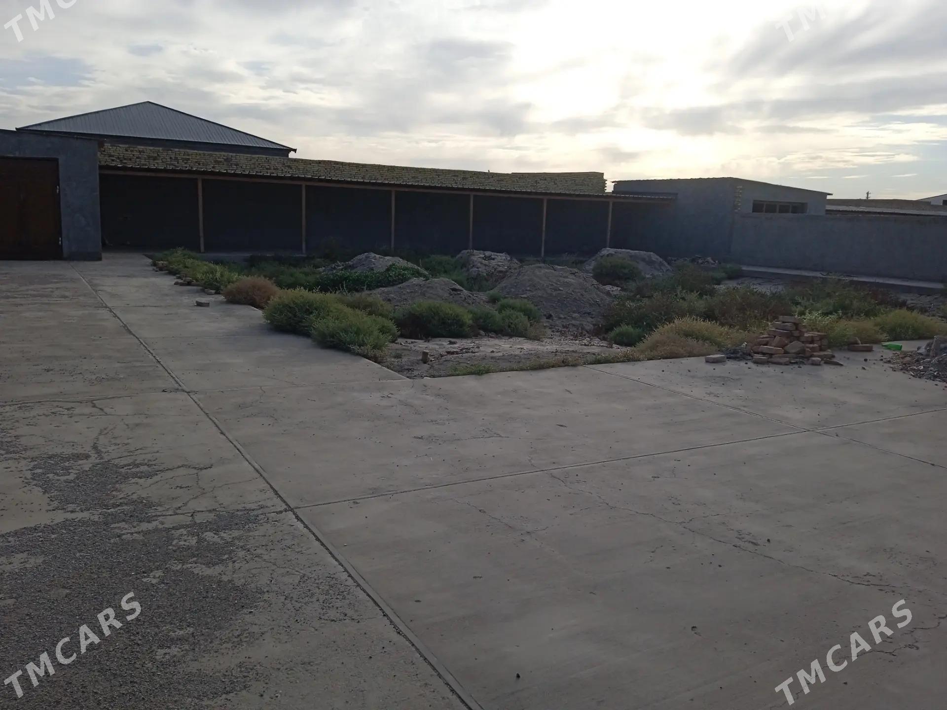 Satlyk plan jaÿ - Дашогуз - img 3