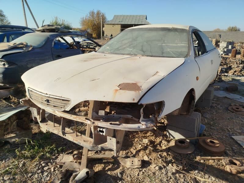 zapjaslyk edi 101 TMT - Babadaýhan - img 3