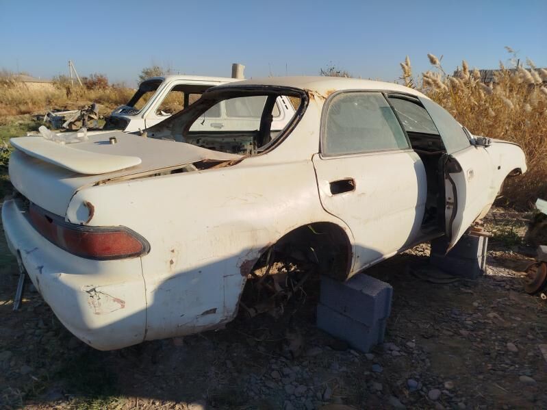 zapjaslyk edi 101 TMT - Babadaýhan - img 2