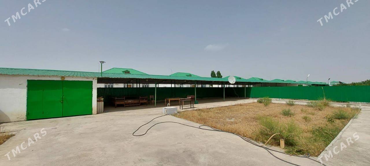 Täze zaman kateź - Täze zaman - img 2