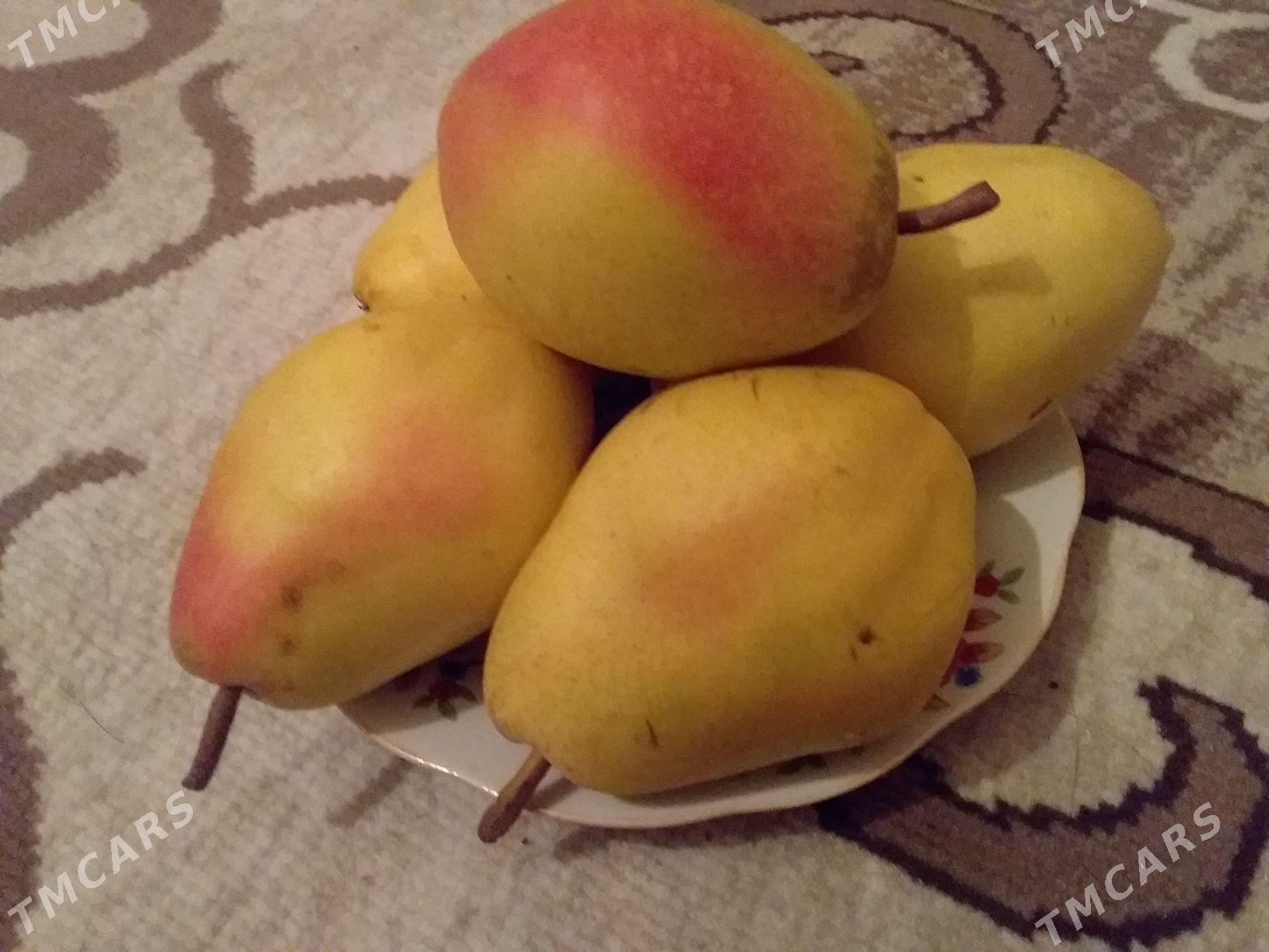 miweli nahallar - Büzmeýin - img 10