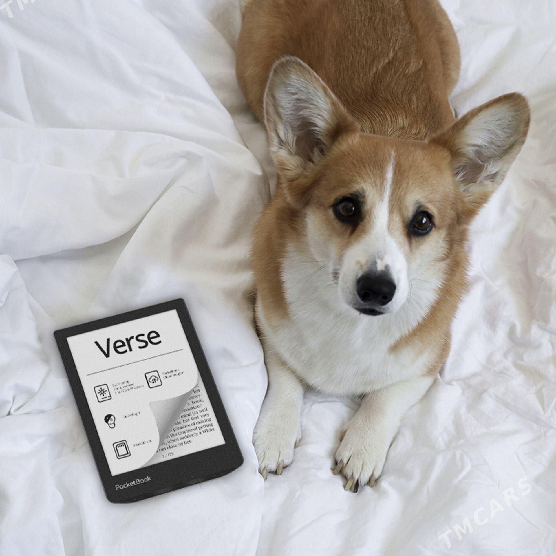 Электронная книга Verse 629 Mist Grey - Ашхабад - img 4