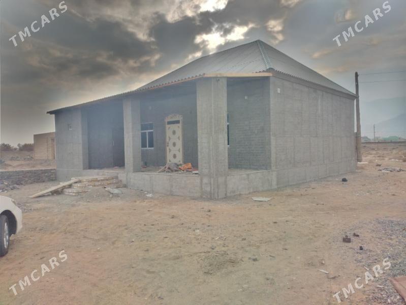 jaý tâzeje - Bereket - img 2