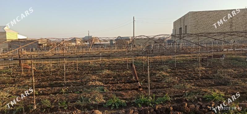 Parnik - Murgap - img 3