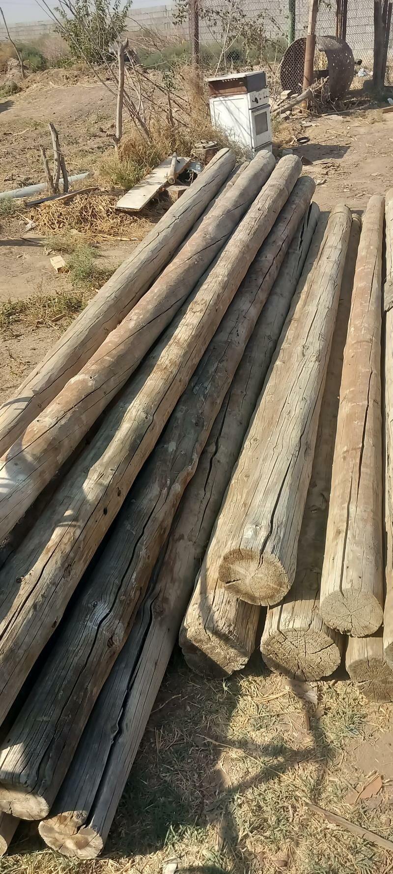 AGAÇ DEMIR ALYAS - Хитровка - img 1