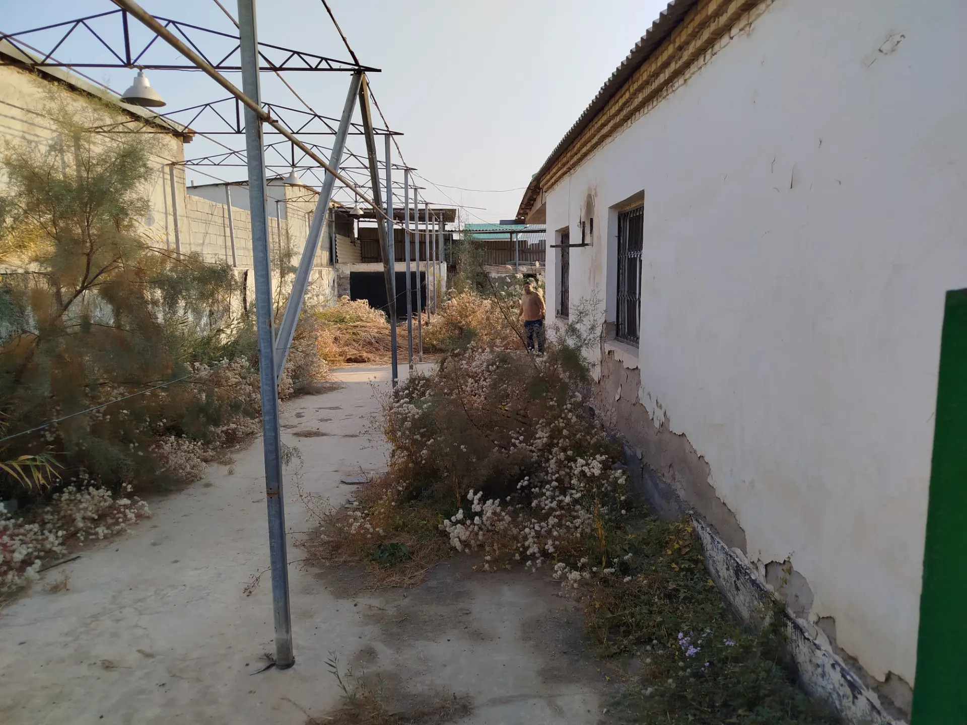 ÇOGANLY 6 SOTOK KÖNE JAÝ - Чоганлы - img 3