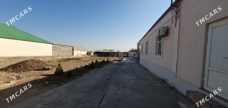 Satlyk howly jaý - Änew - img 1