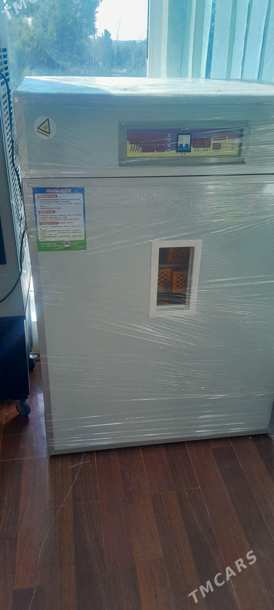 Inkubator - Änew - img 1