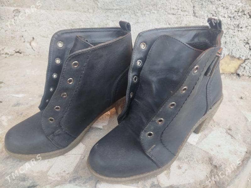 Ädik - Daşoguz - img 1