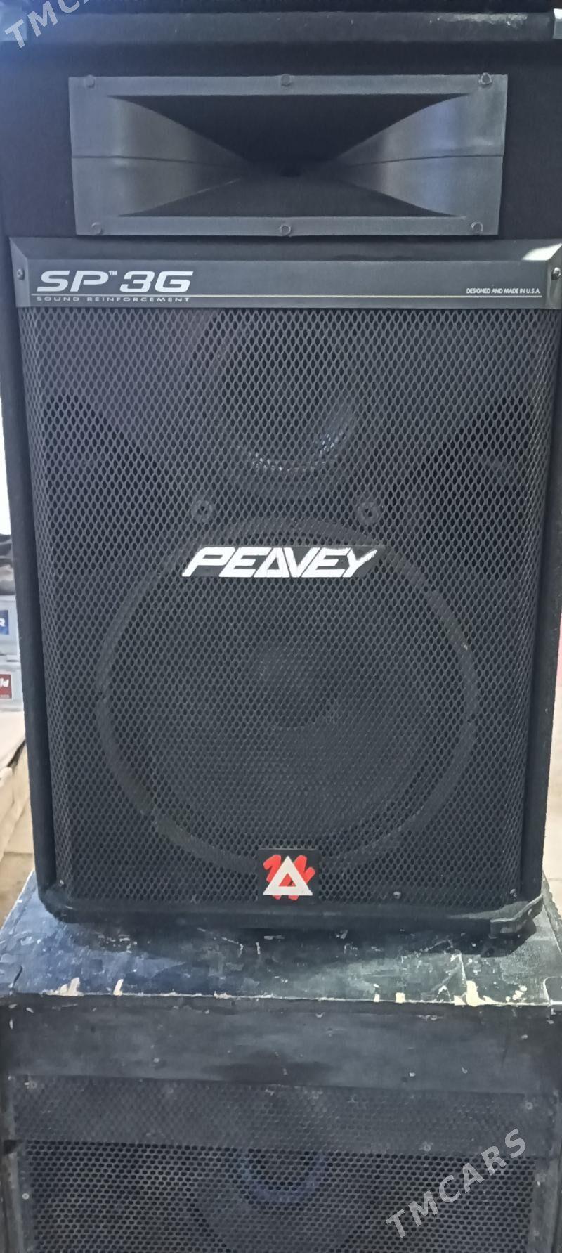 Peavey 3polos sredn toy kolona - Гурбансолтан Едже - img 2