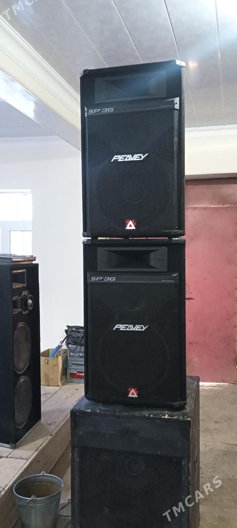 Peavey 3polos sredn toy kolona - Гурбансолтан Едже - img 1