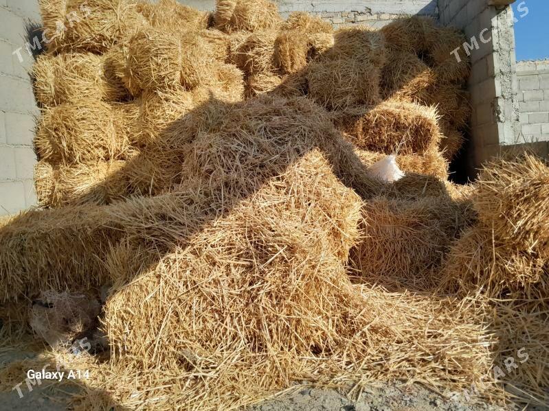 saman - Gyzylarbat - img 3