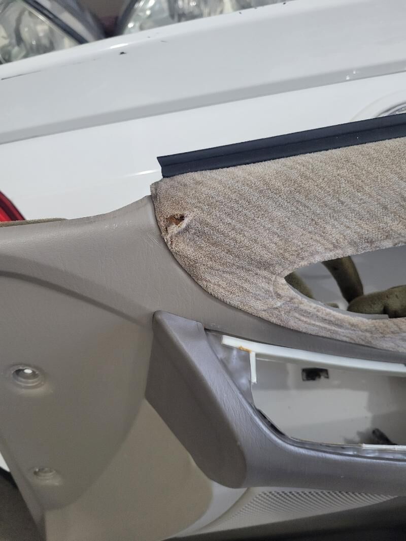 Awalon 96-99 sary mata absiwka 700 TMT - Mary - img 4