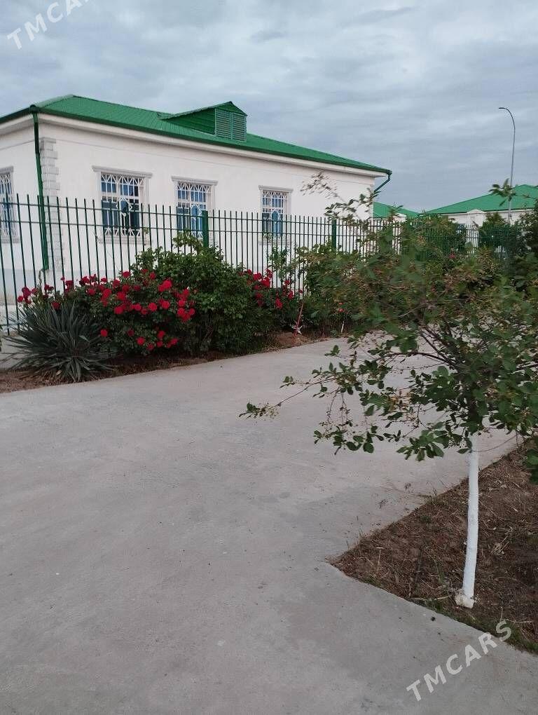 Arenda taze zaman/ тазе заман - Тязе заман - img 1