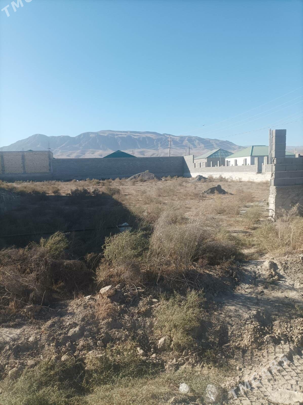 satlyk jay - Änew - img 4