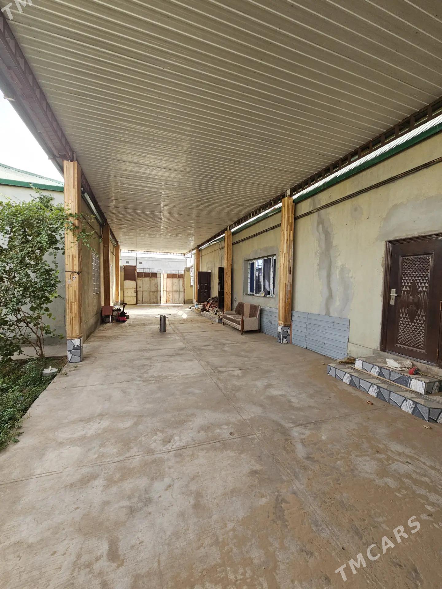 Coganly 6 sotak 5kom Satlyk - Çoganly - img 1