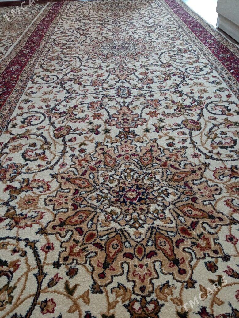 Haly - Hitrowka - img 1