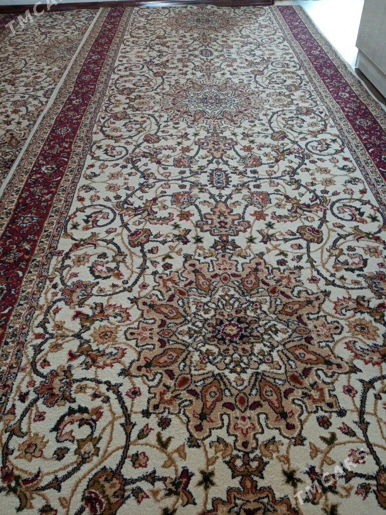 Haly - Hitrowka - img 2