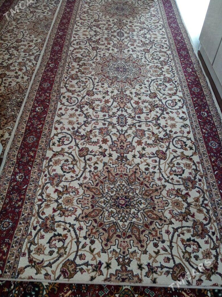 Haly - Hitrowka - img 3