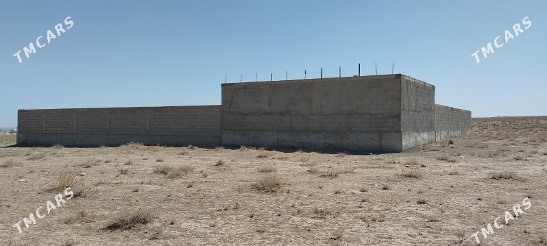 mellek yer - Кака - img 3