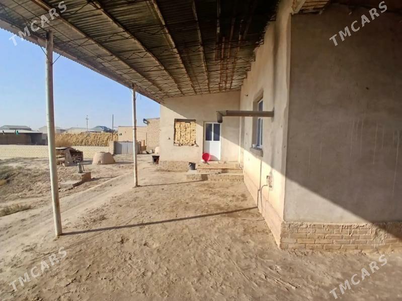 TAYYN JAY - Kerki - img 2