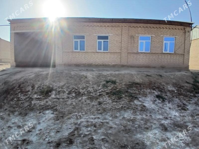 TAYYN JAY - Kerki - img 4