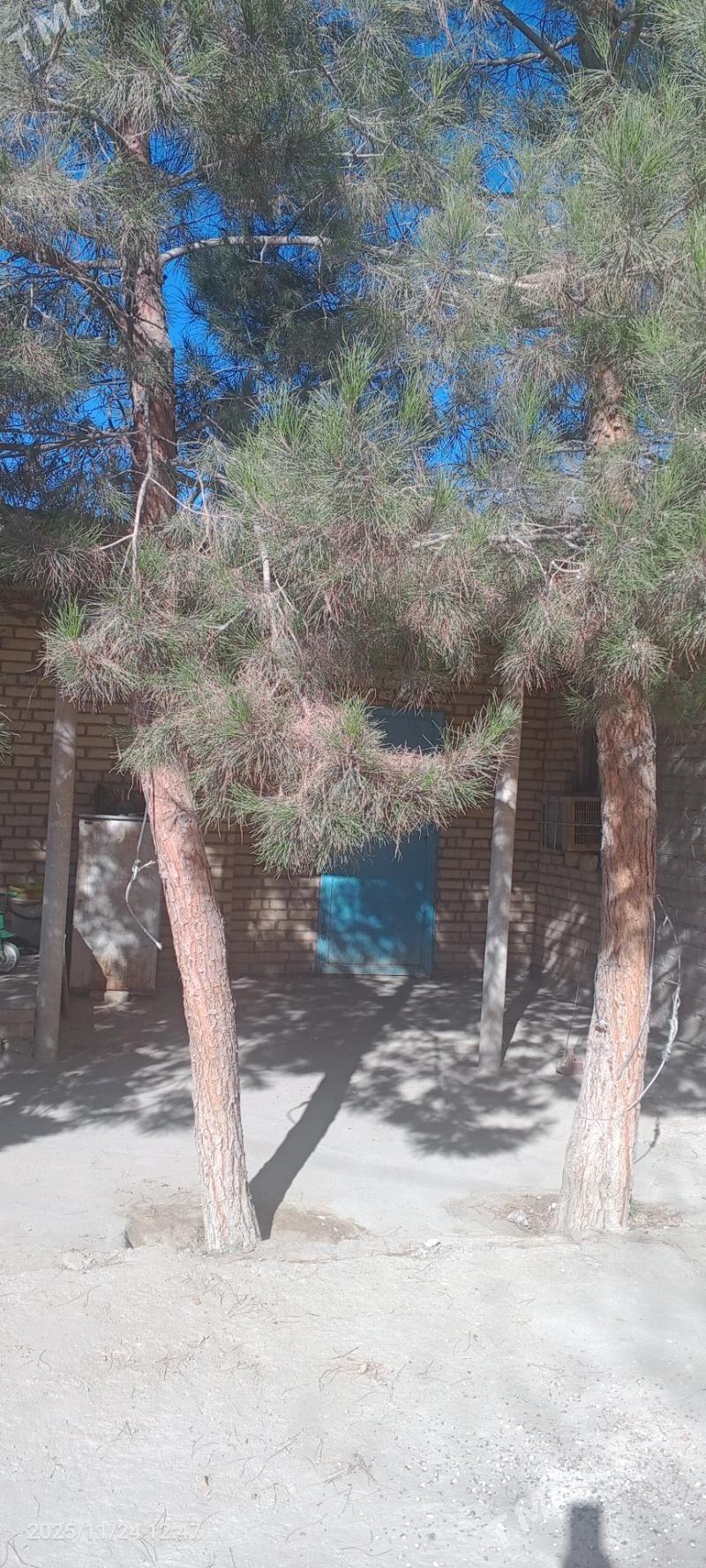 сатлык жай - Darganata - img 3