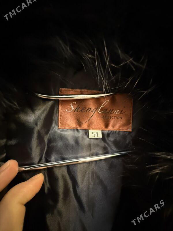 suba - Ашхабад - img 4