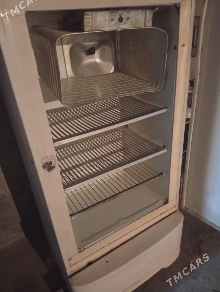 Holodinik - Änew - img 2