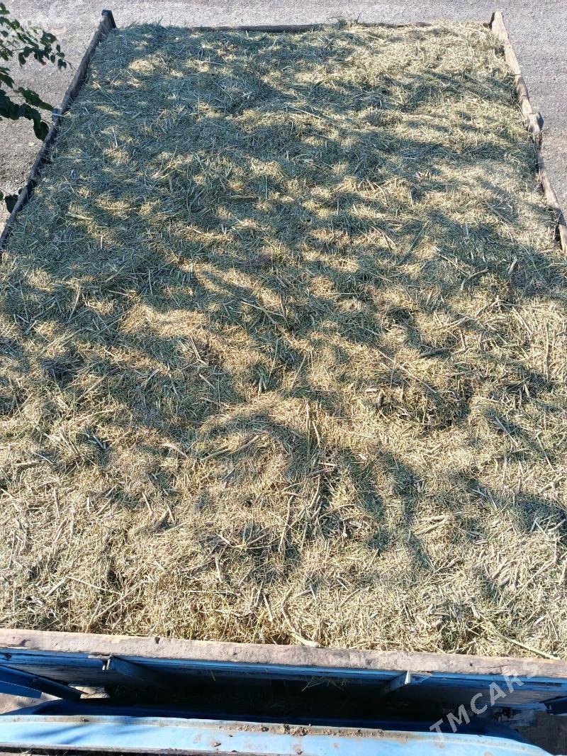 yannak - Гёкдепе - img 3