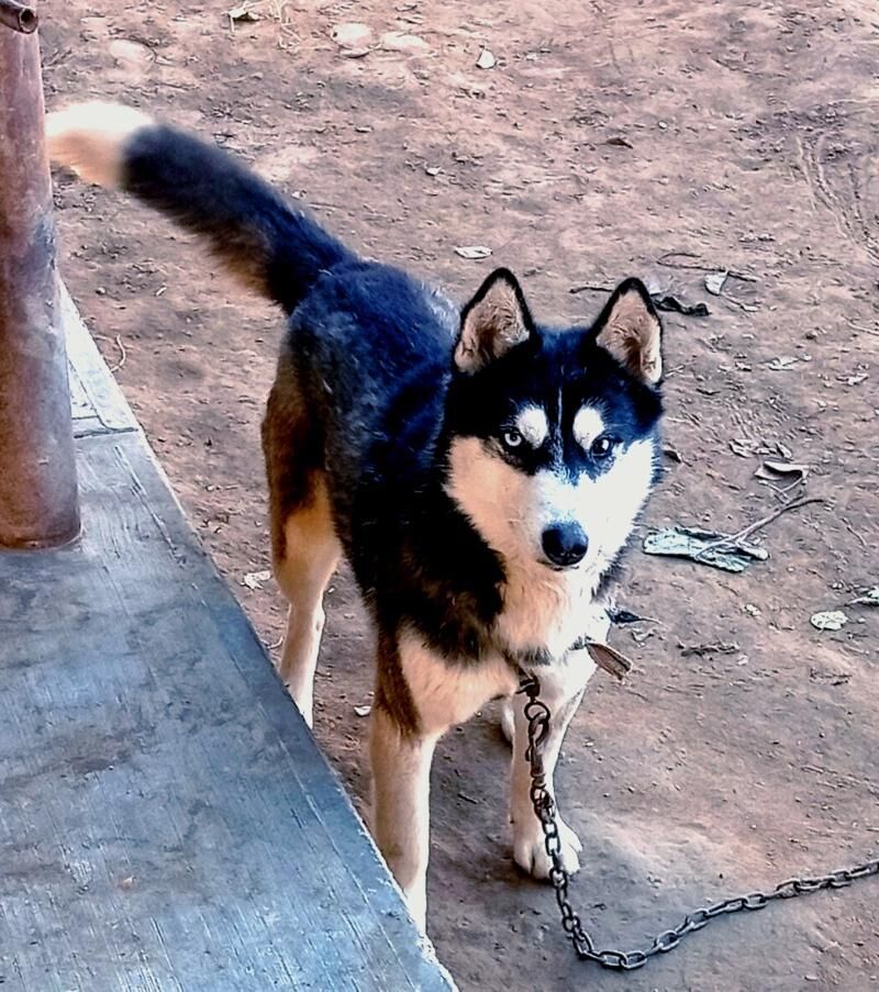 Линда - Шабатский этрап - img 4