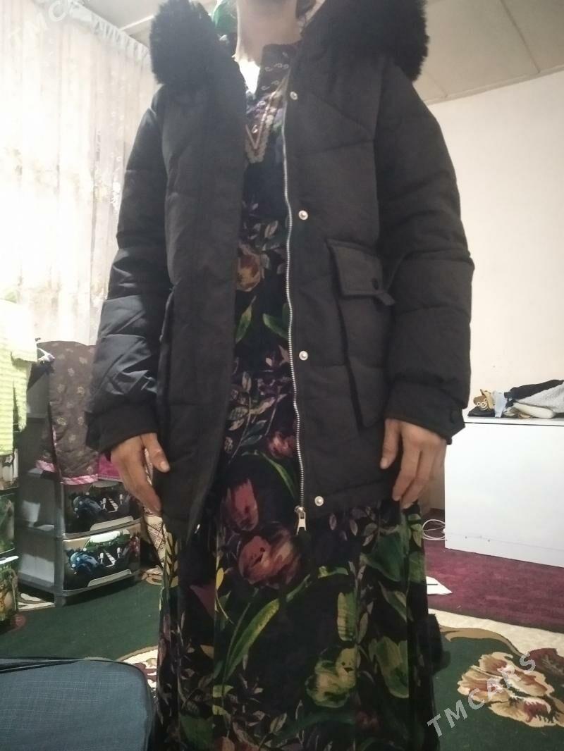 kurtga - Garabekewül - img 1